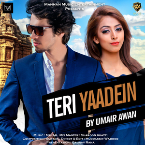 Teri Yaadein