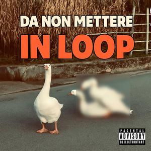 VOGLIO UNA MARGHERITA