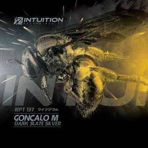 Dark Slate Silver (Original Mix)