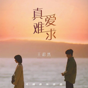 真爱难求 (DJ版)