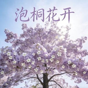 泡桐花开.wav