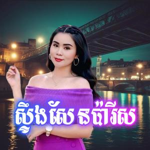 ស្ទឹងសែនប៉ារីស