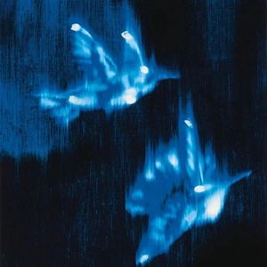 夏夜失眠蒙太奇