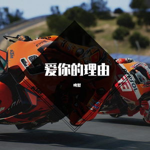 爱你的理由