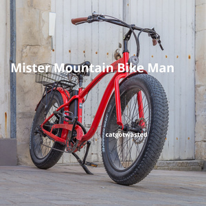 Mister Mountain Bike Man