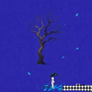 夜空最亮的星