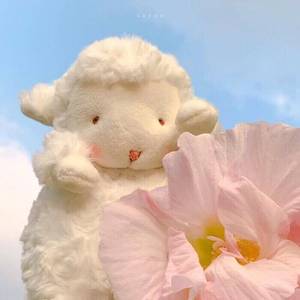 玫瑰玫瑰我爱你