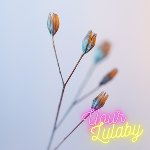 Your Lulaby
