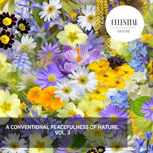 Blossom Small Birds in Spring