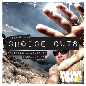 Choice Cuts Vol. 005 Mixed by Jason Young (Continuous DJ Mix)