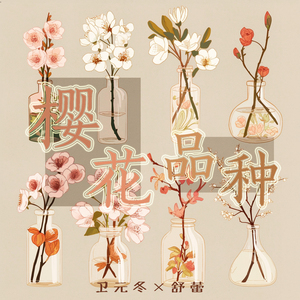 樱花品种 (女生版)