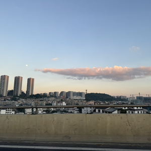 你的泪水，不是回心转意的灵药
