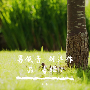 人们的新装 男低音专辑19