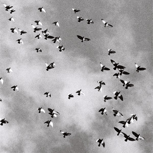 Himmel grau