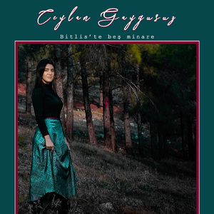 Bitlis'te Beş Minare