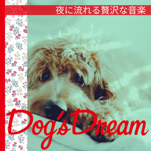 Swingin' in the Park