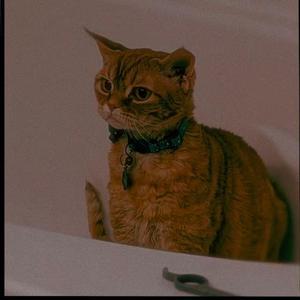 ？