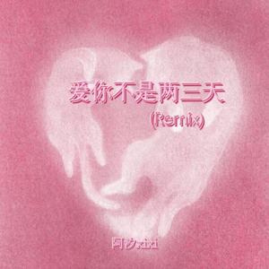 爱你不是两三天 (Remix)