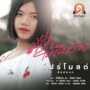 ตั๋วใจให้ลืมอ้าย