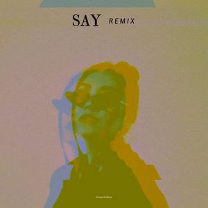 Say (Remix)
