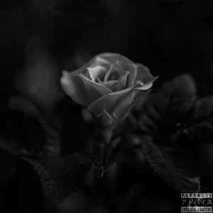 Красный цветок