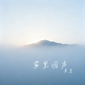 雾里回声