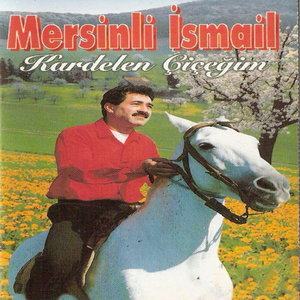 Orta Asya Türküsü