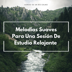 Serenidad A Orillas Del Río