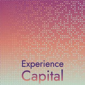 Neighbourhoods Puppy