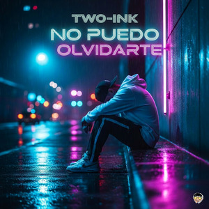 No Puedo Olvidarte