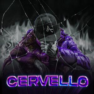 Cervello (Colpa) (feat. ΛTLΛS)