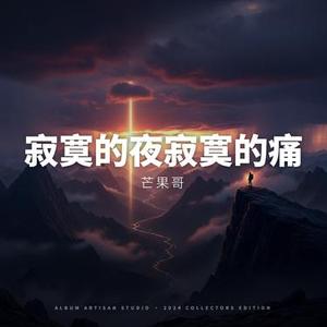 寂寞的夜寂寞的痛
