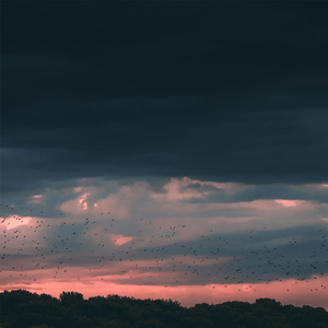 德尔塔脑波宝宝安然入睡的白噪音舒缓钢琴曲