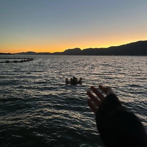 我要把关于你的季节对折