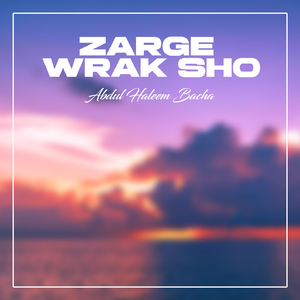 Zarge Wrak Sho