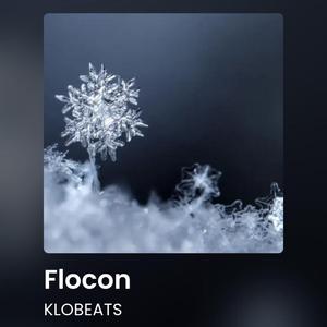 Flocon