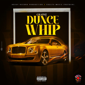 Dunce Whip