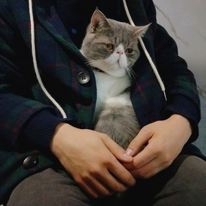 说爱你（Guitar.徐闻捷）（翻自 沈以诚）