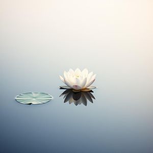 尘土飞扬