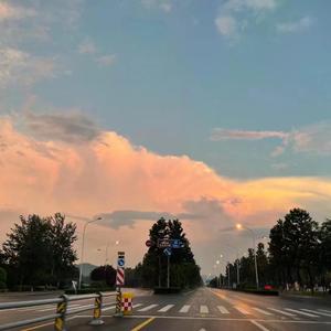 再见只是陌生人