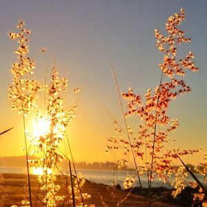 承诺的代价（如果爱忘了）