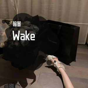 Wake-Bounce Or Die