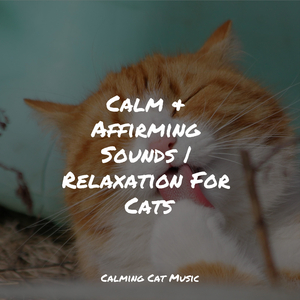 Relaxation