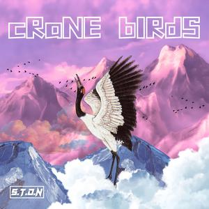 CRANE BIRDS