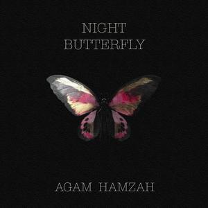 Night Butterfly