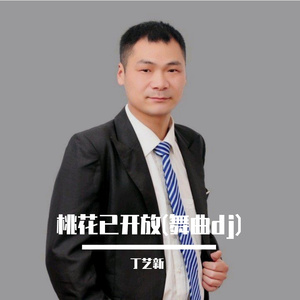 桃花已开放(舞曲dj)