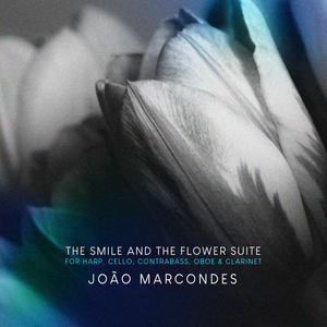 Rhapsody: A Short Breath