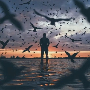 城市孤独病（加速版）