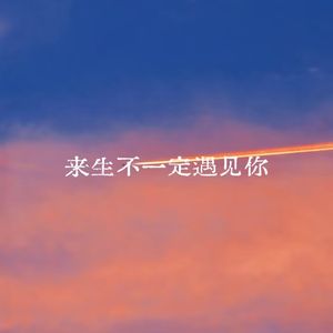 来生不一定遇见你