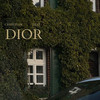 Knockout - Christian Dior Days
